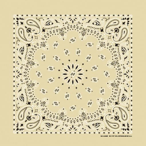 Paisley 22" Bandanna, Made in USA