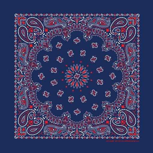 Paisley 22" Bandanna, Made in USA