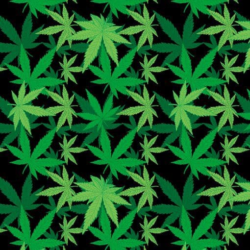 Cannibas