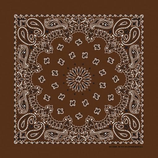 Paisley 22" Bandanna, Made in USA