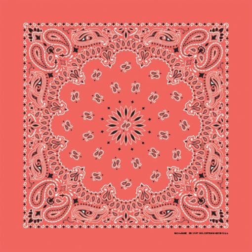 Paisley 22" Bandanna, Made in USA