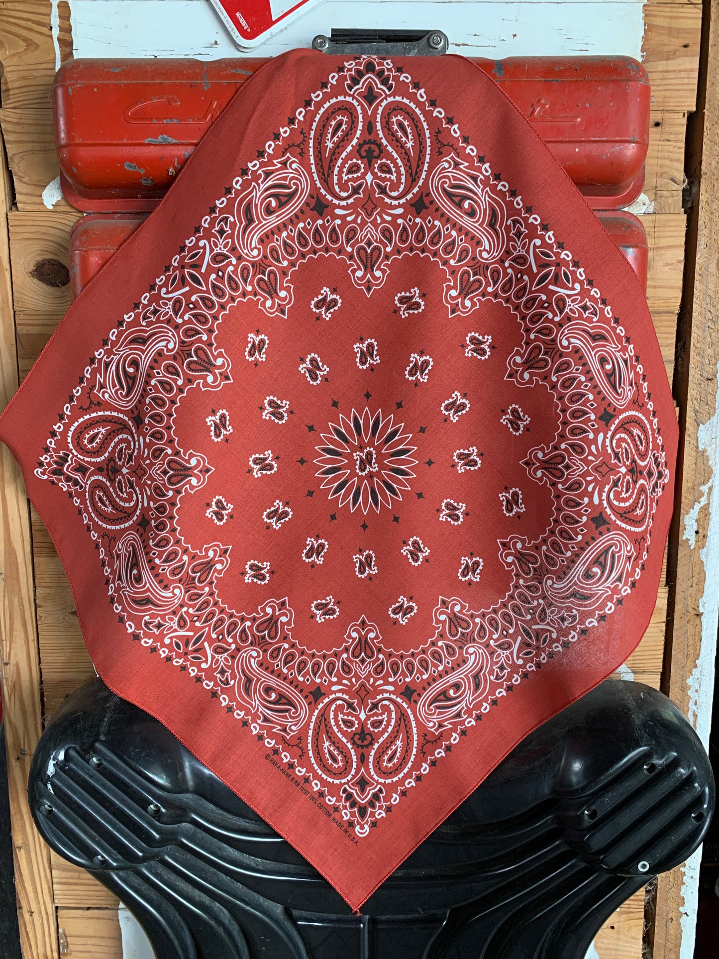 Terracotta Paisley