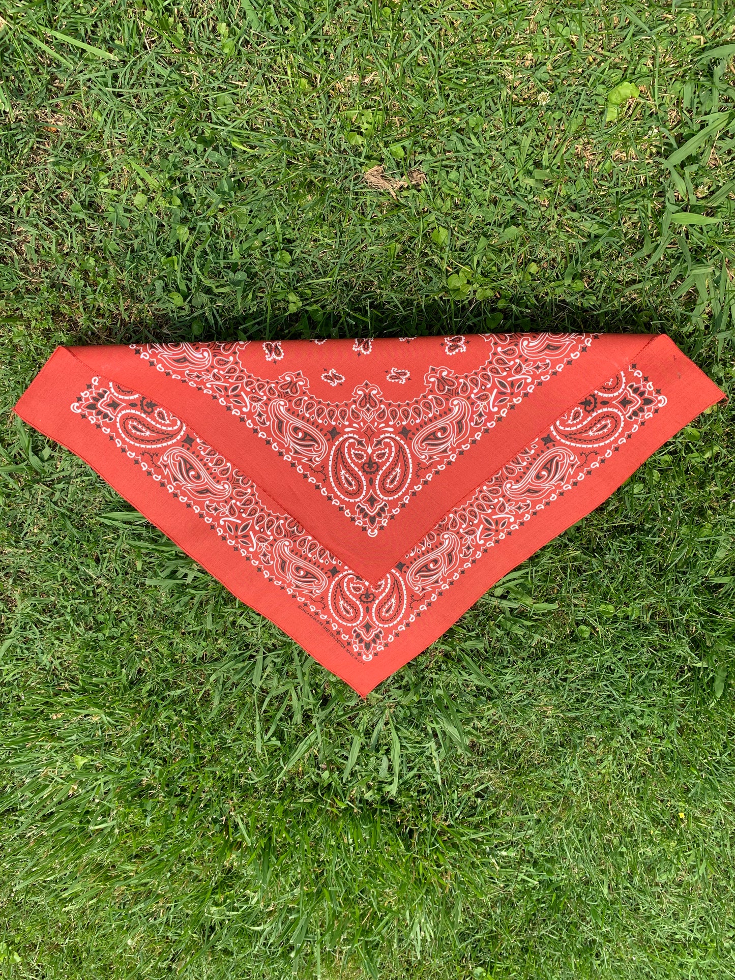 Terracotta Paisley