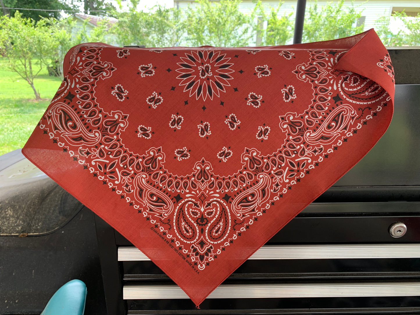 Terracotta Paisley