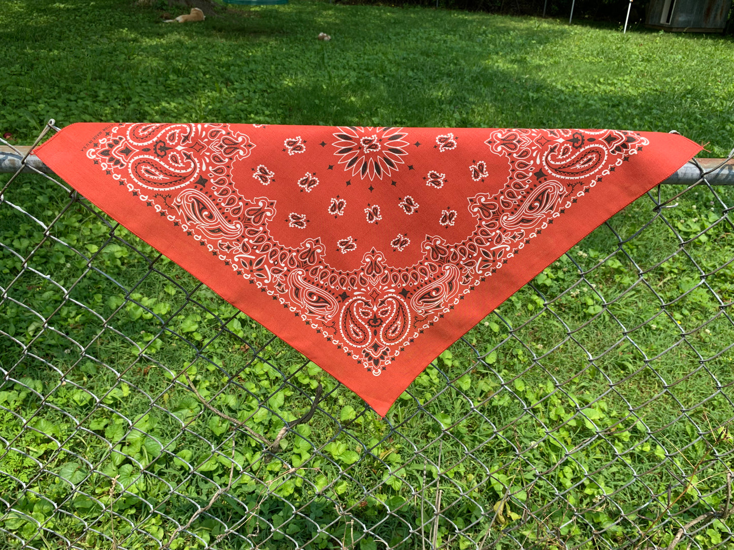 Terracotta Paisley