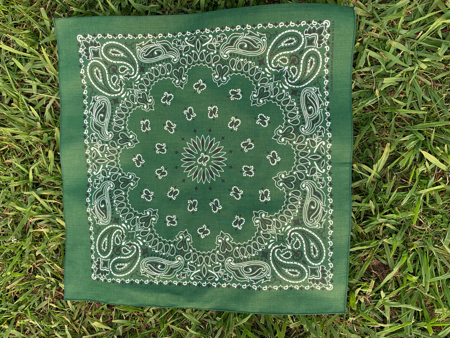 Hunter Green Paisley