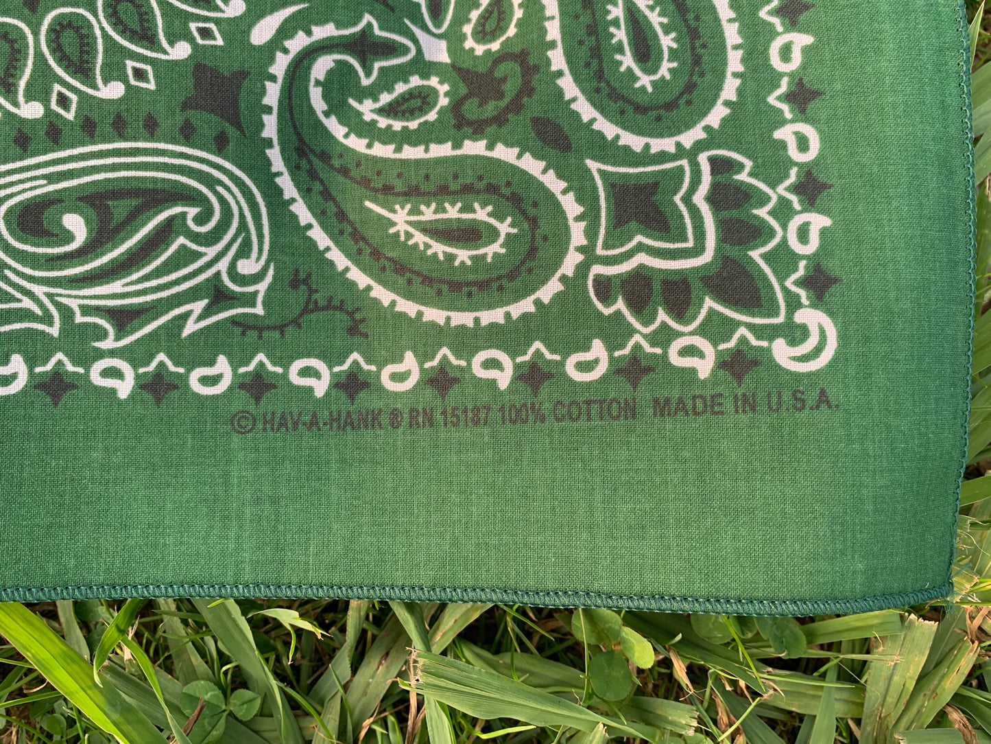 Hunter Green Paisley