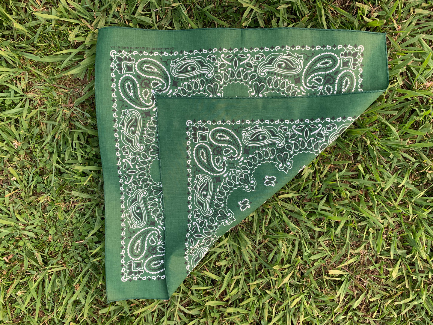 Hunter Green Paisley