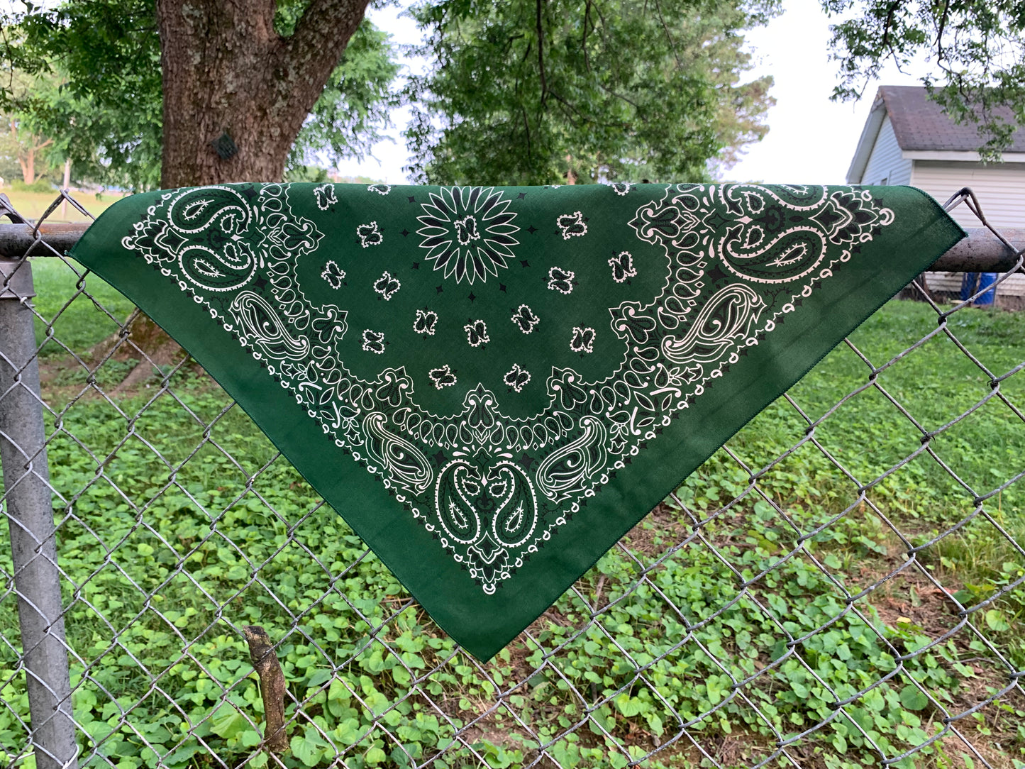 Hunter Green Paisley