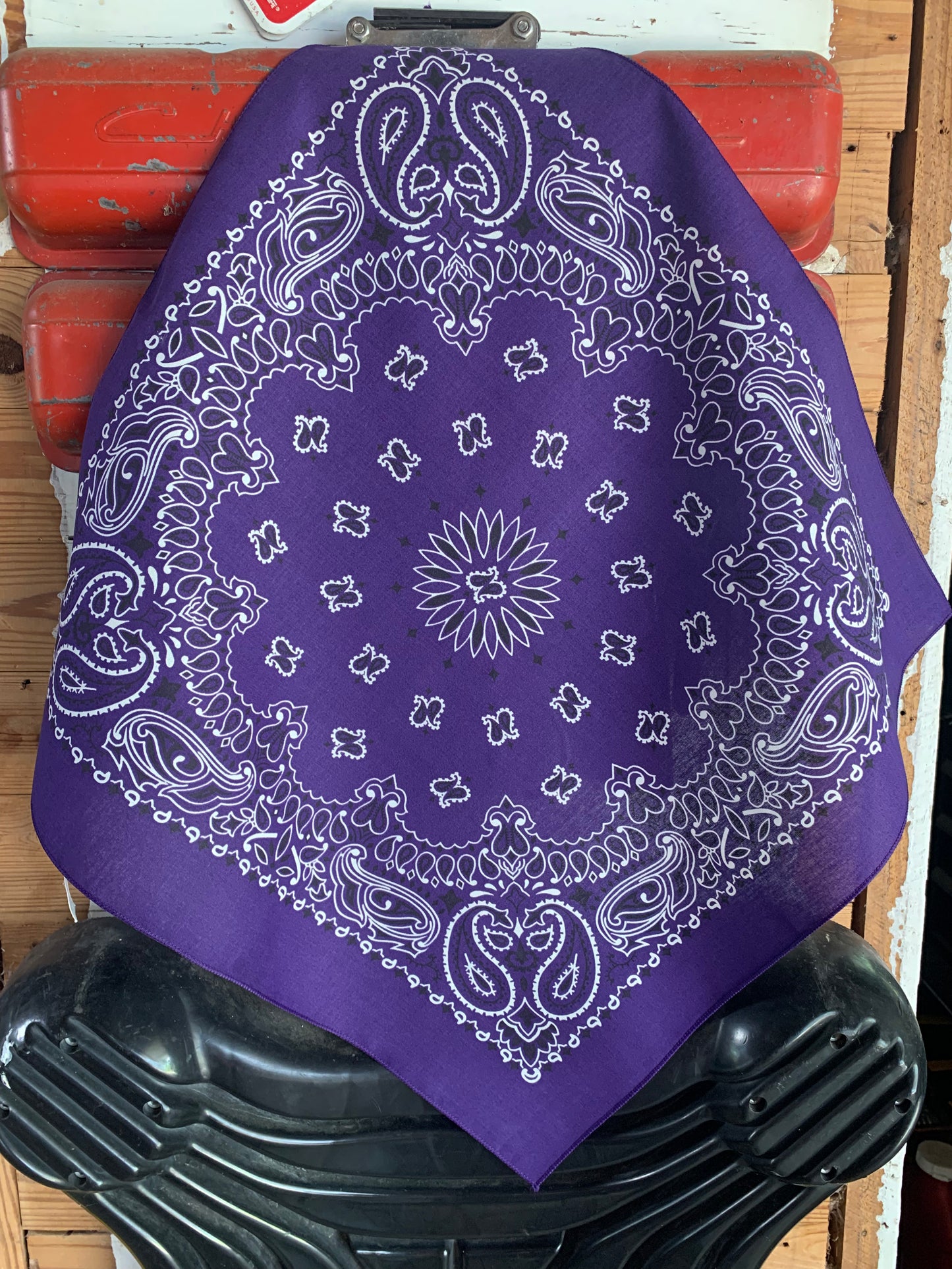 Purple Paisley