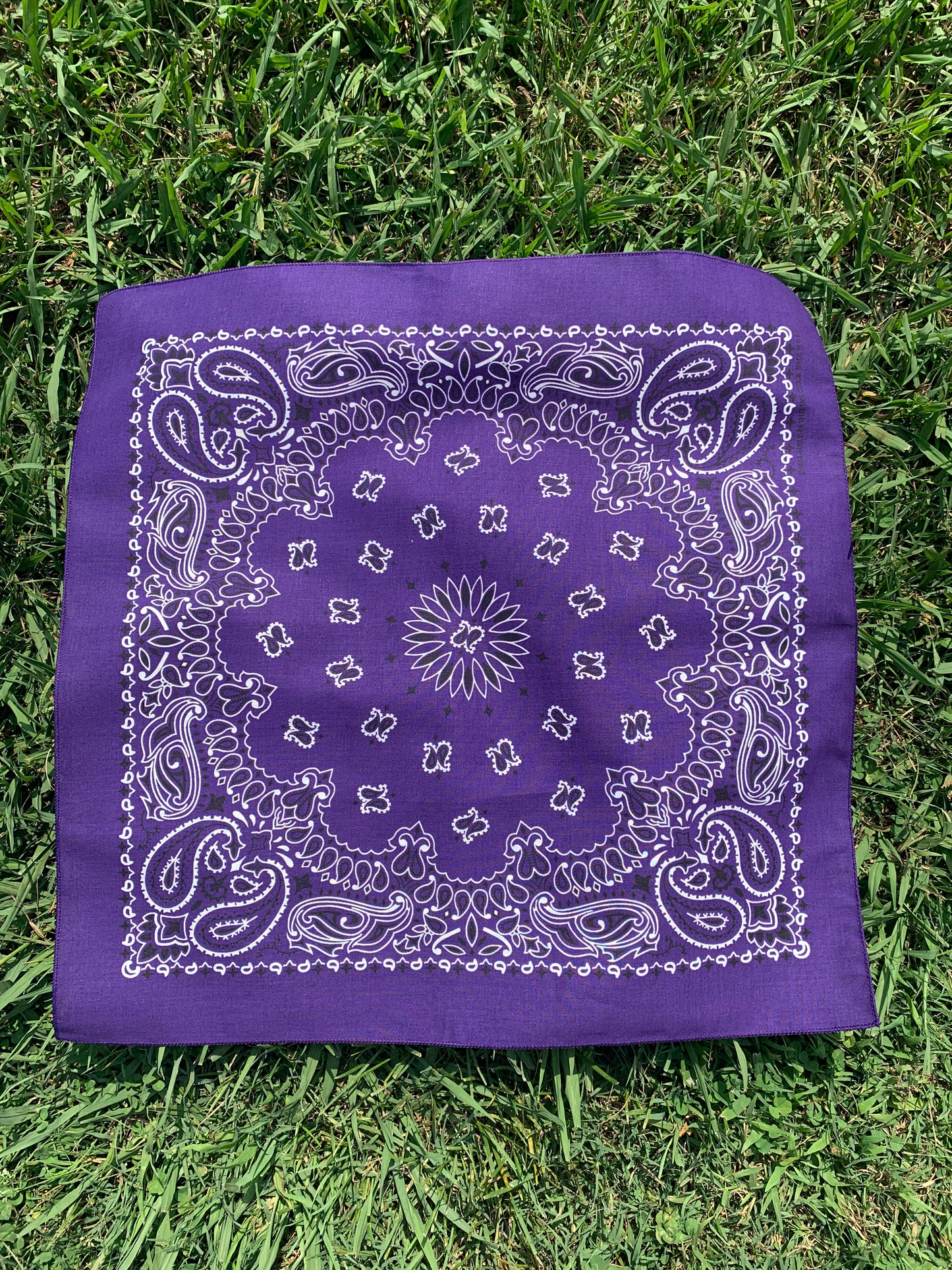 Purple Paisley
