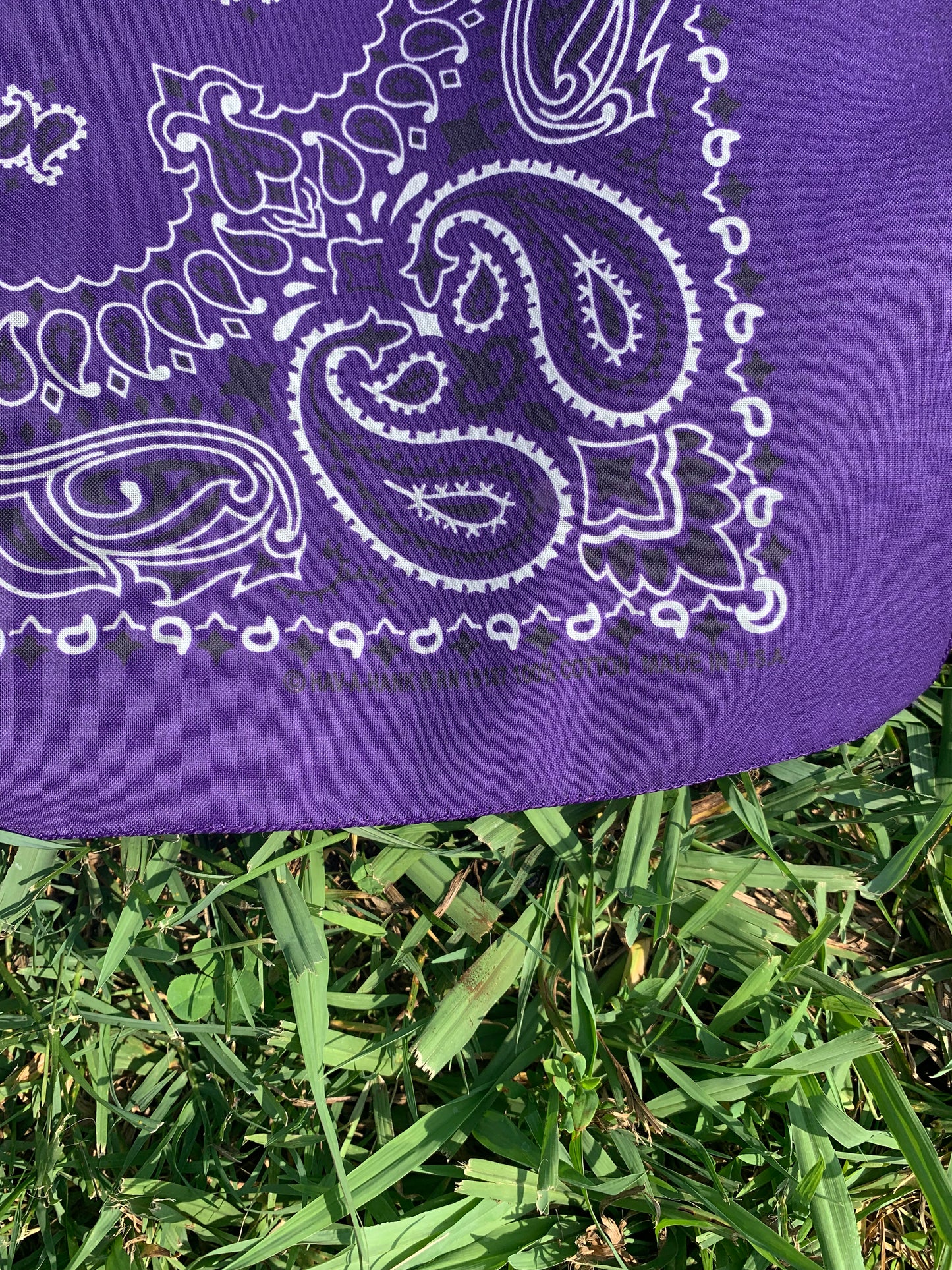 Purple Paisley