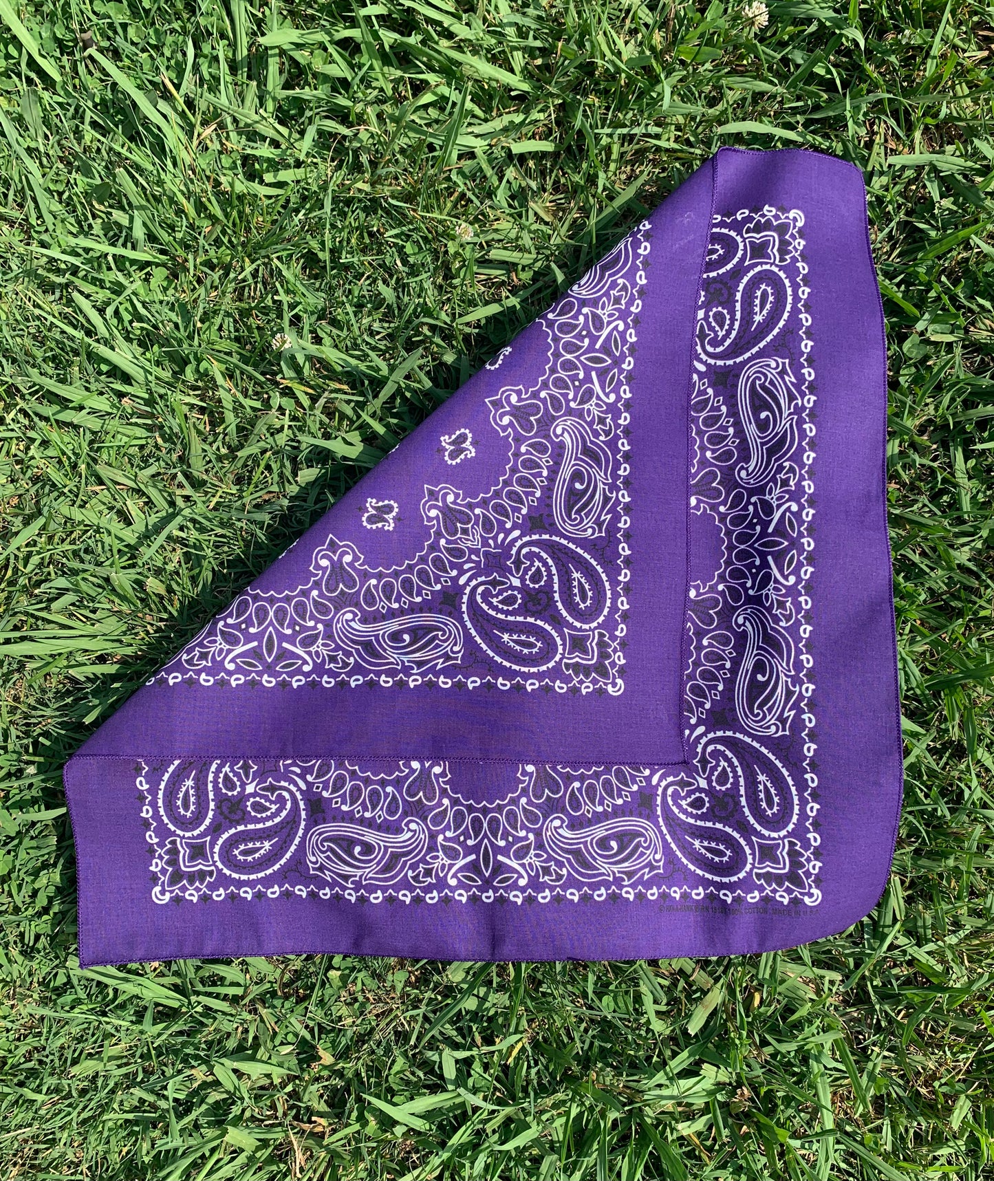Purple Paisley