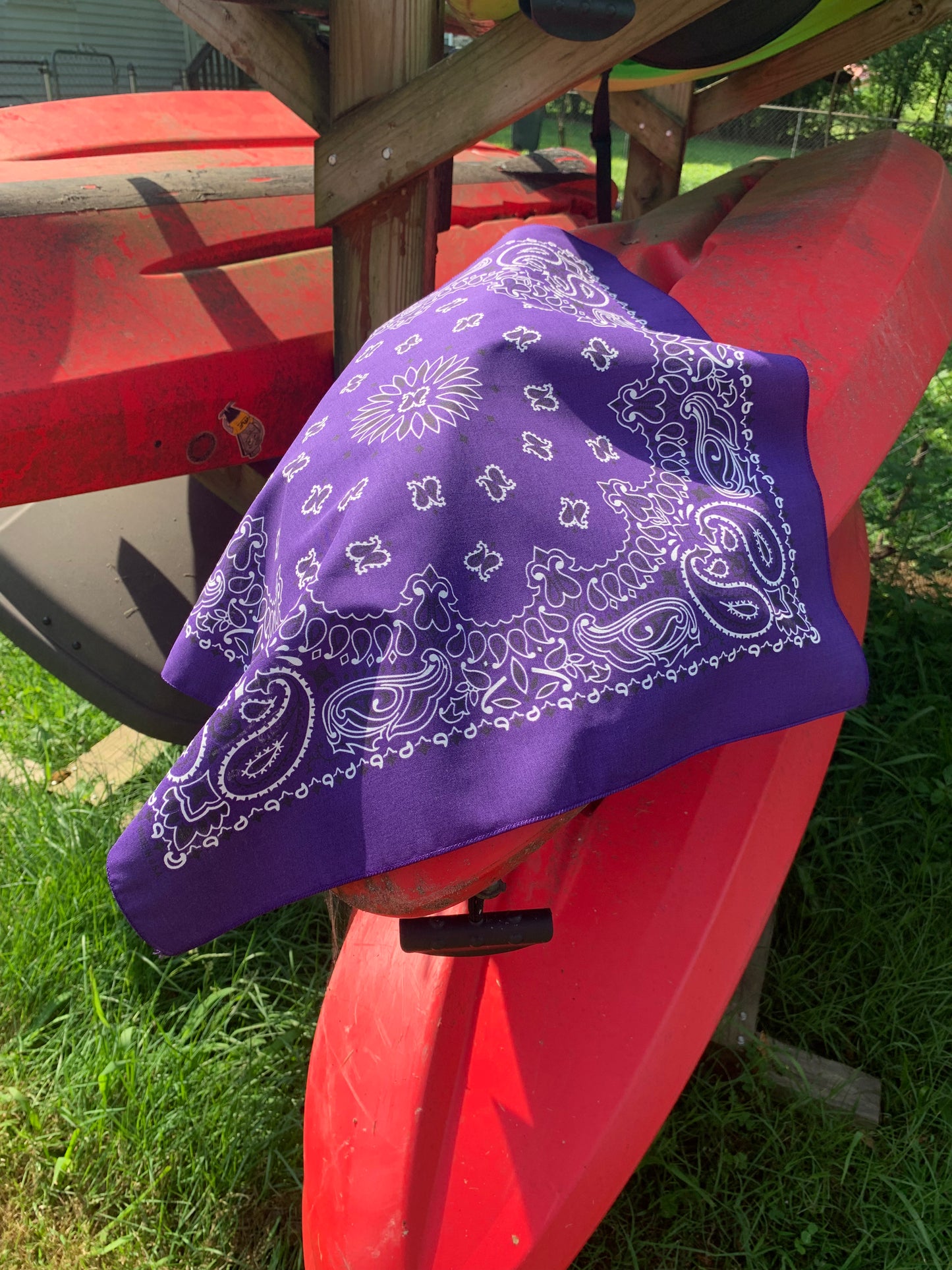 Purple Paisley