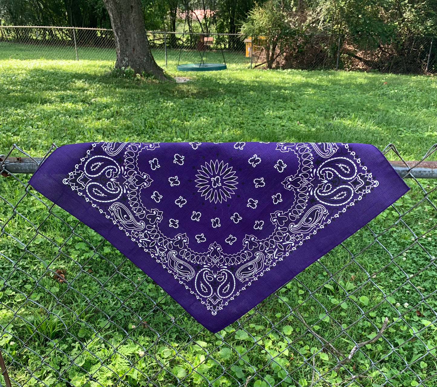 Purple Paisley