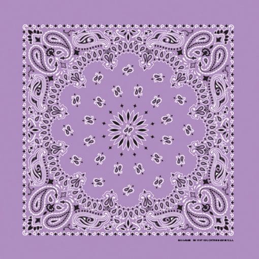 Paisley 22" Bandanna, Made in USA