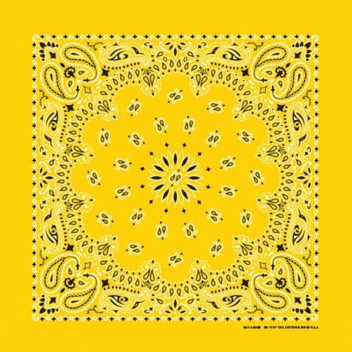 Paisley 22" Bandanna, Made in USA