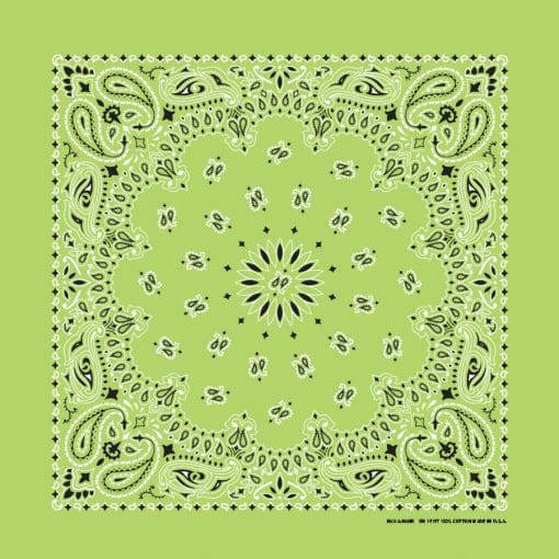 Lime Paisley