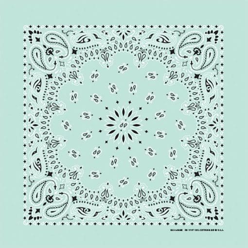 Paisley 22" Bandanna, Made in USA