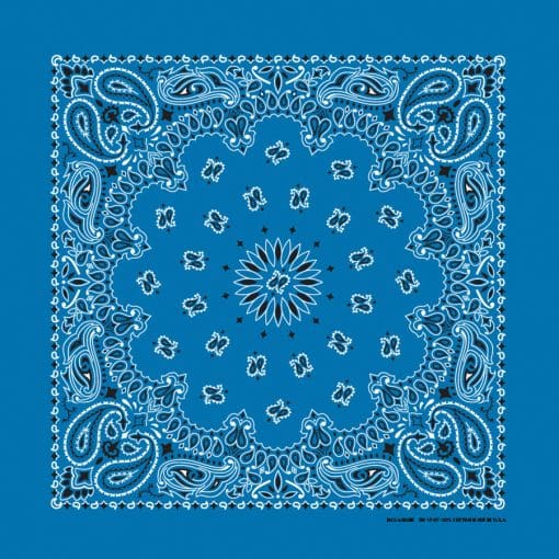 Mirage Blue Paisley