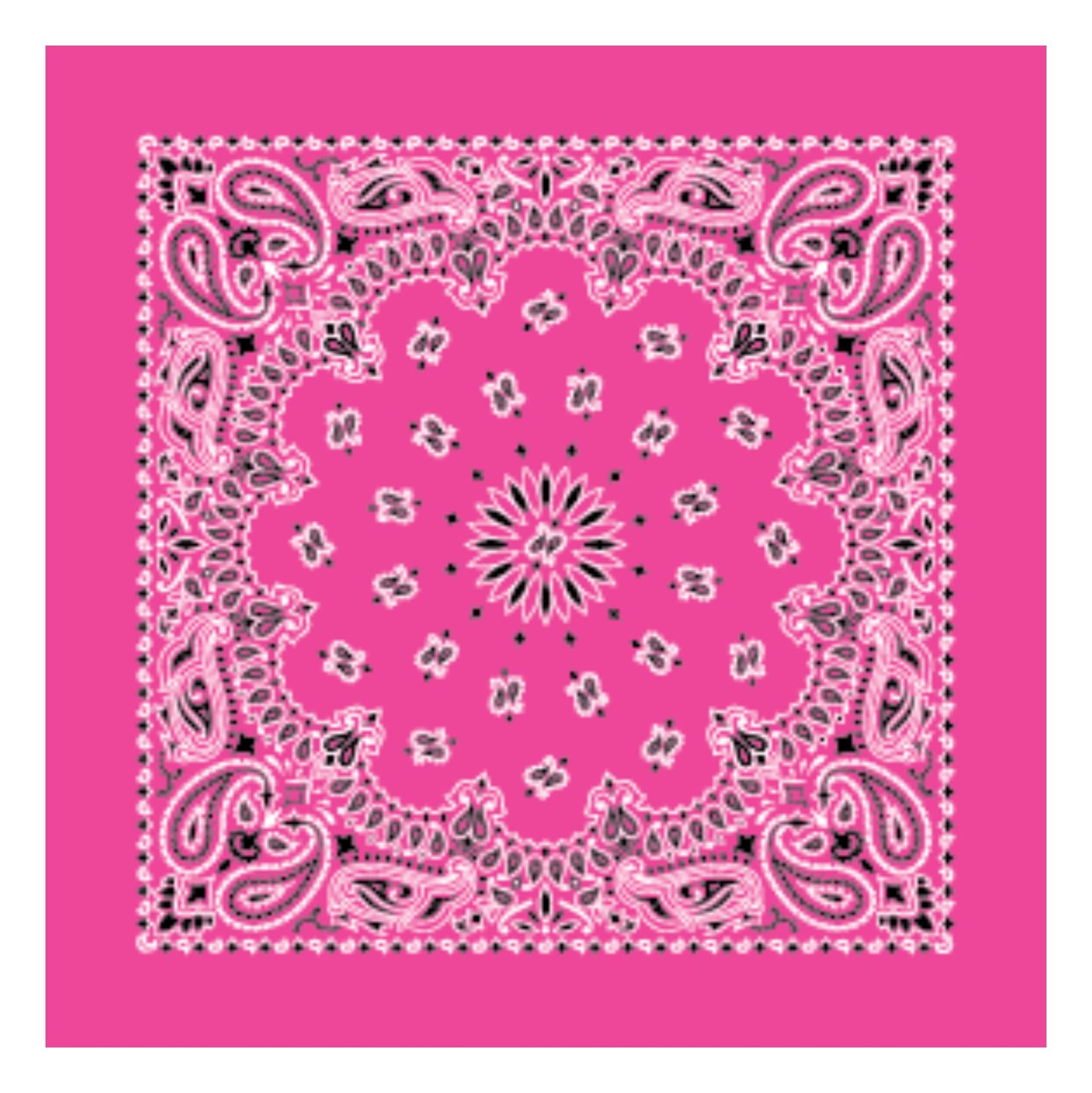 Neon Pink Made in USA