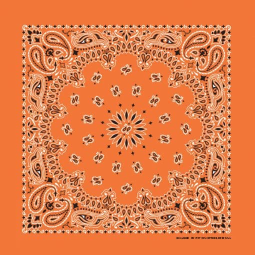 Paisley 22" Bandanna, Made in USA