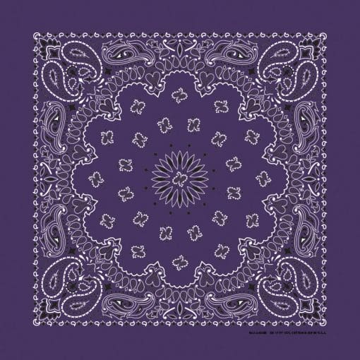 Paisley 22" Bandanna, Made in USA