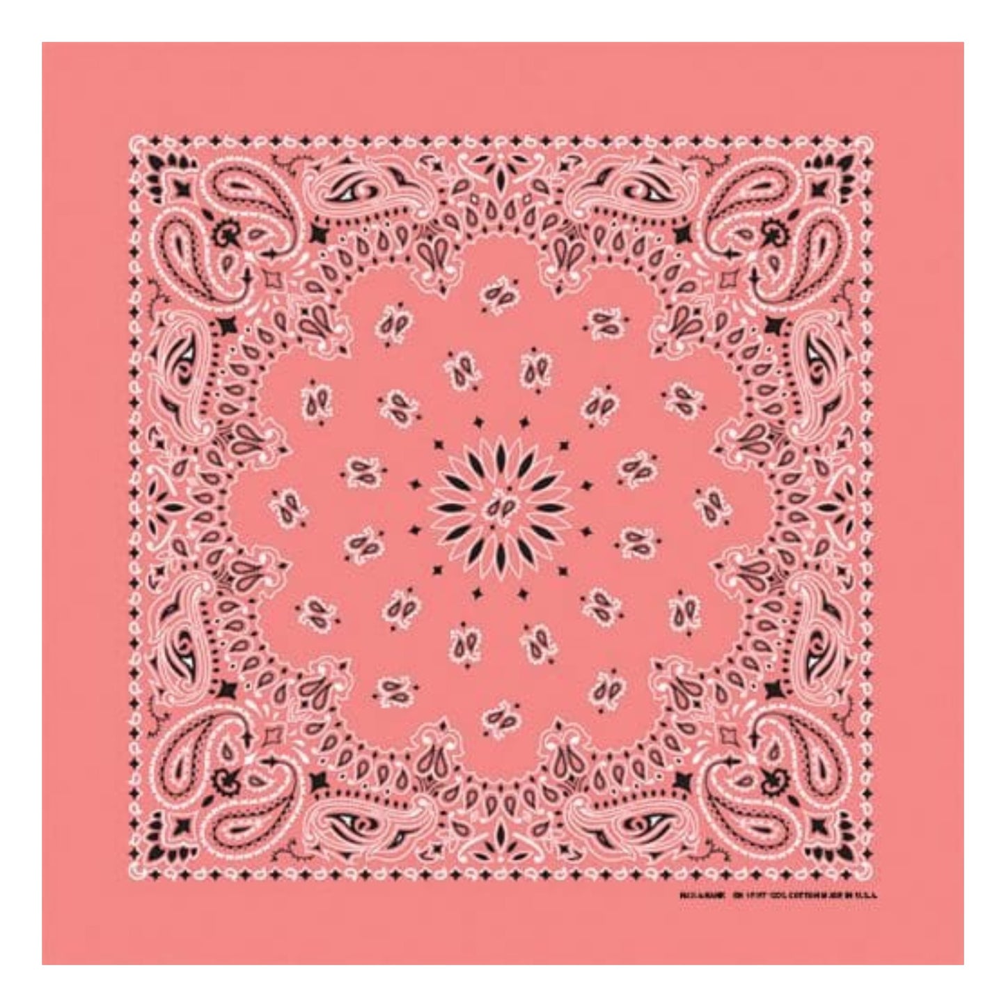 Strawberry Paisley