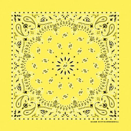 Paisley 22" Bandanna, Made in USA