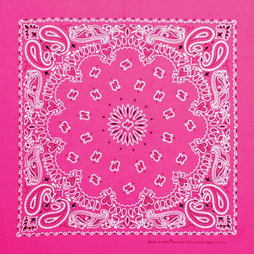 Neon Paisley Bundle Made in USA-4 Pack of Bandannas