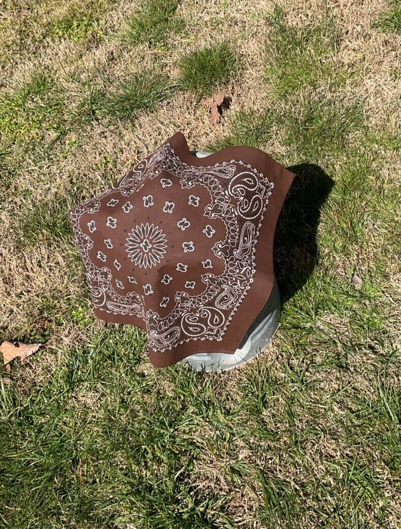 Cocoa Paisley