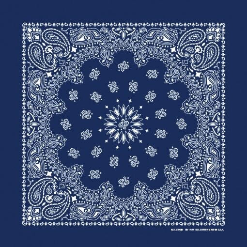 Navy Paisley
