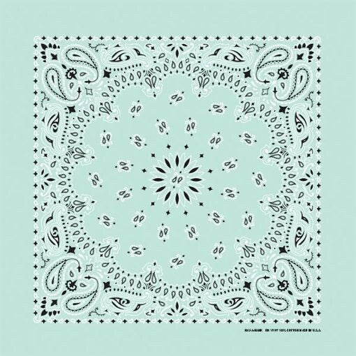 Mint Paisley