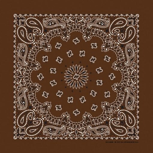 Cocoa Paisley