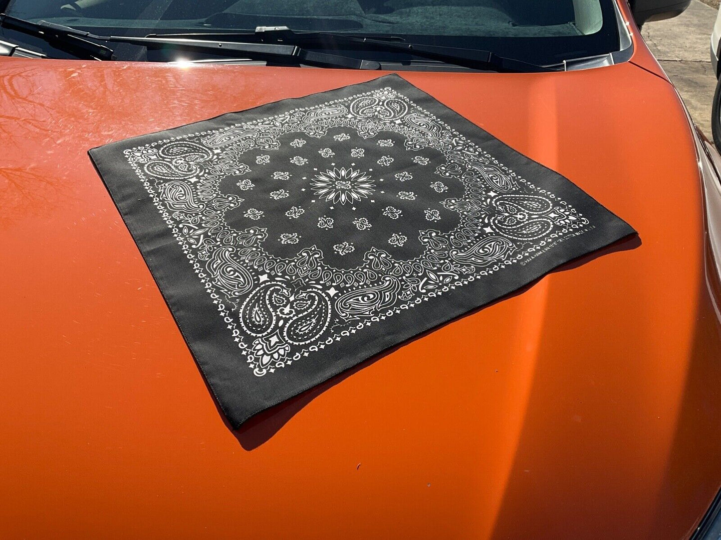 Black Paisley