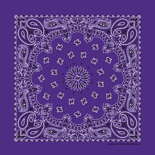 Purple Paisley