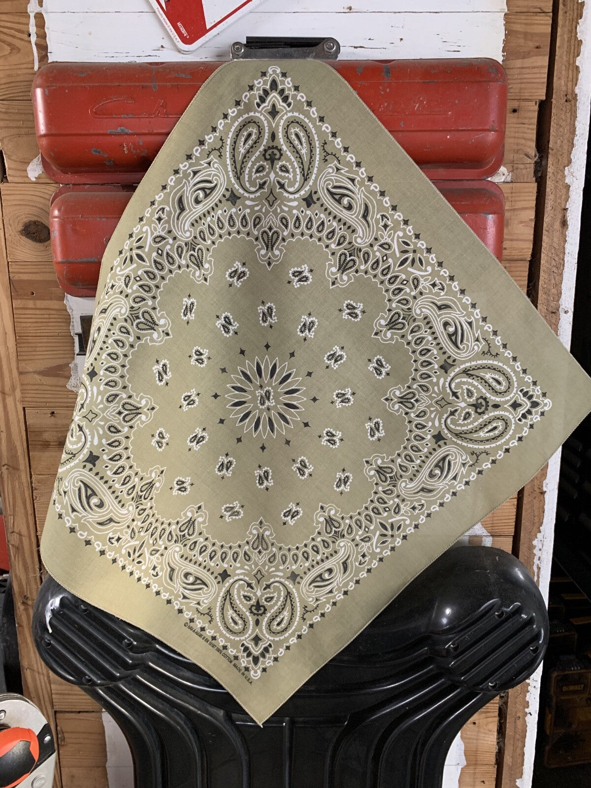 Beige Paisley