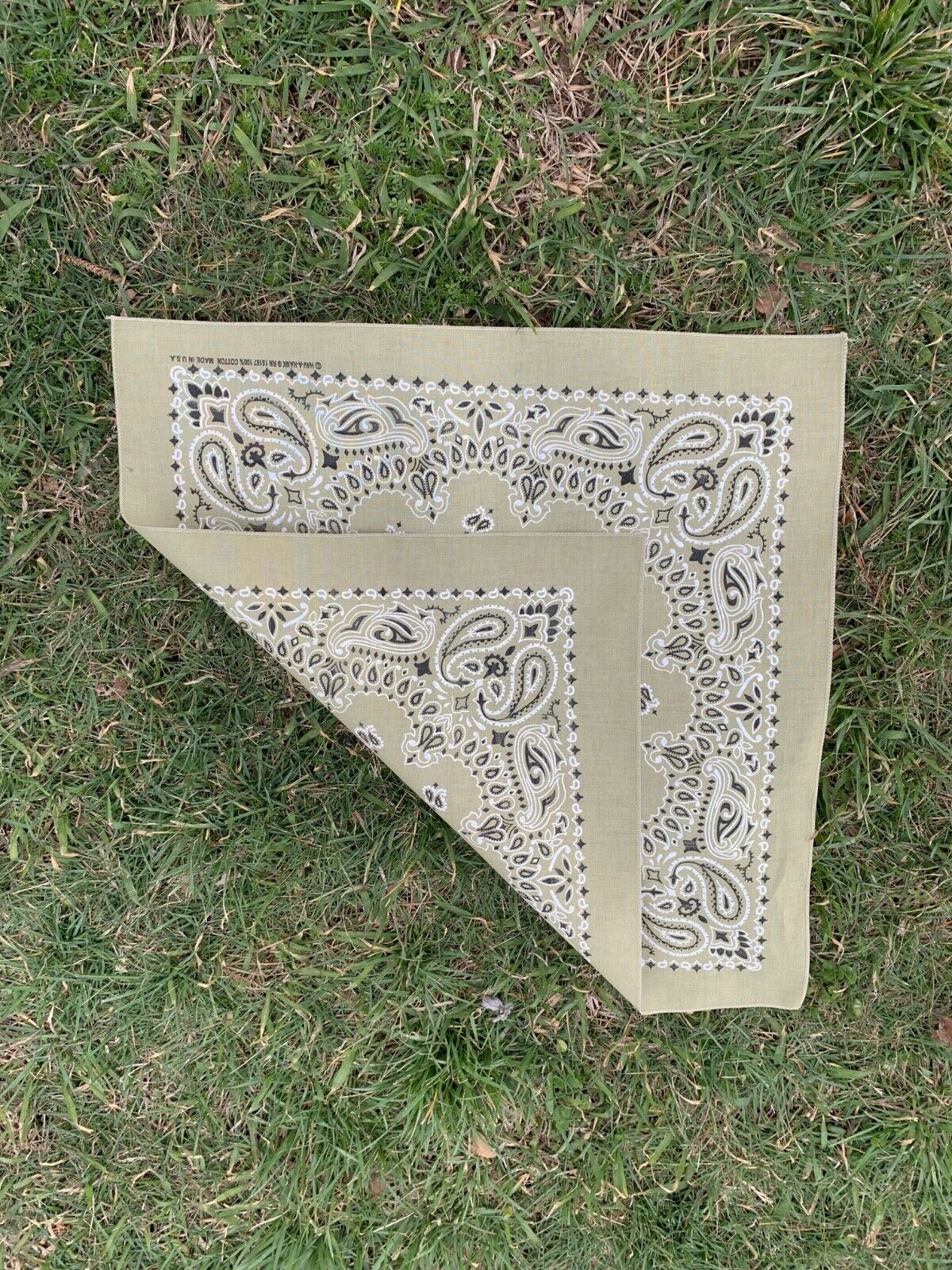 Beige Paisley