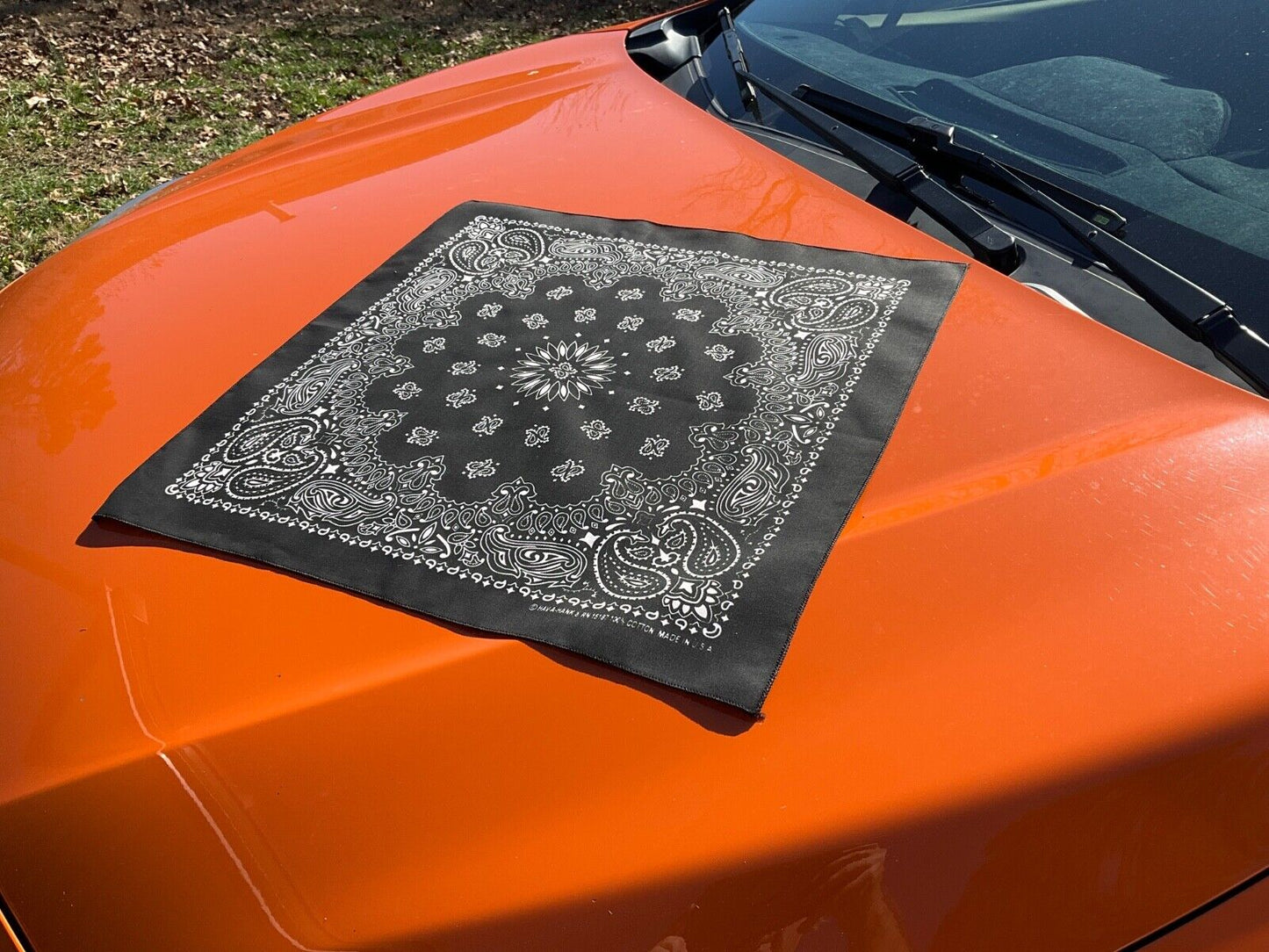 Black Paisley