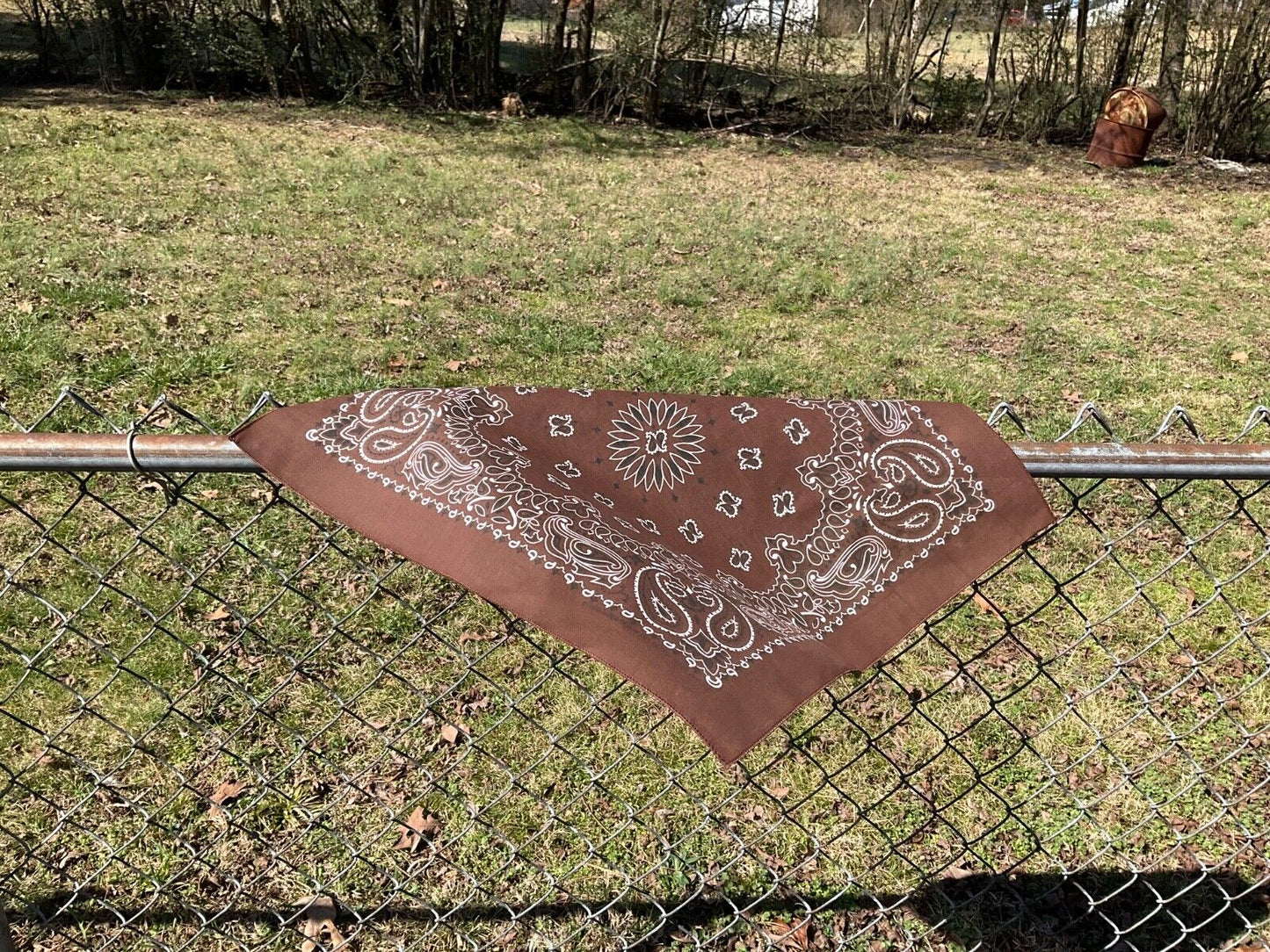 Cocoa Paisley