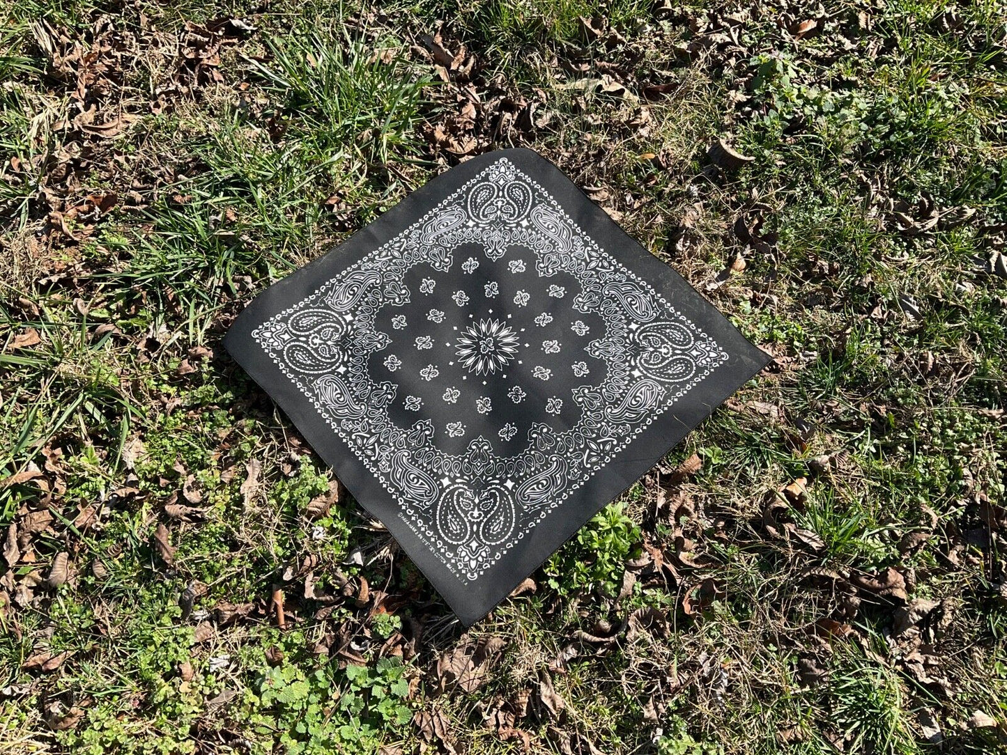 Black Paisley