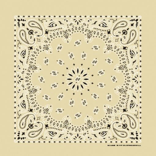 Beige Paisley