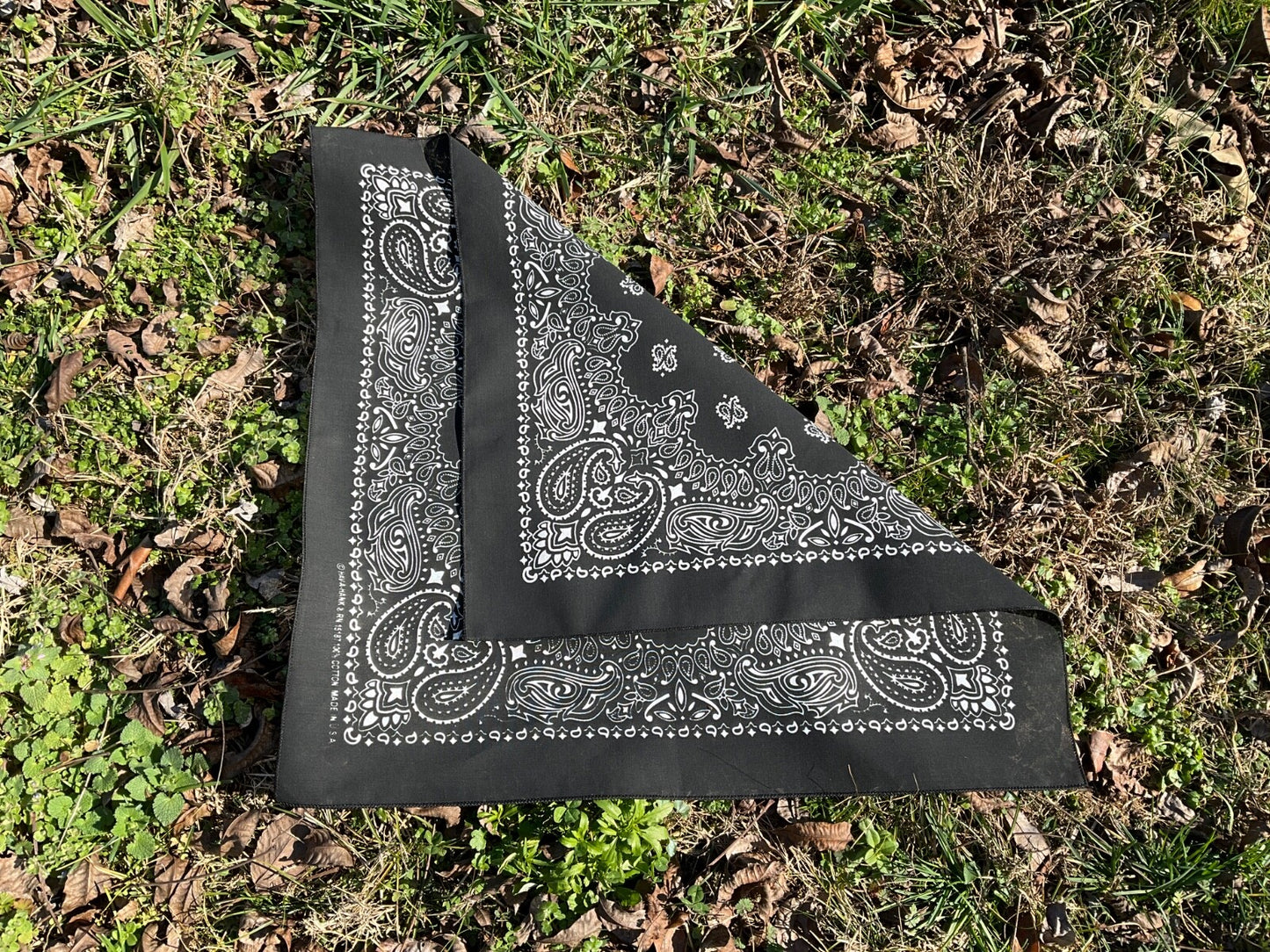 Black Paisley