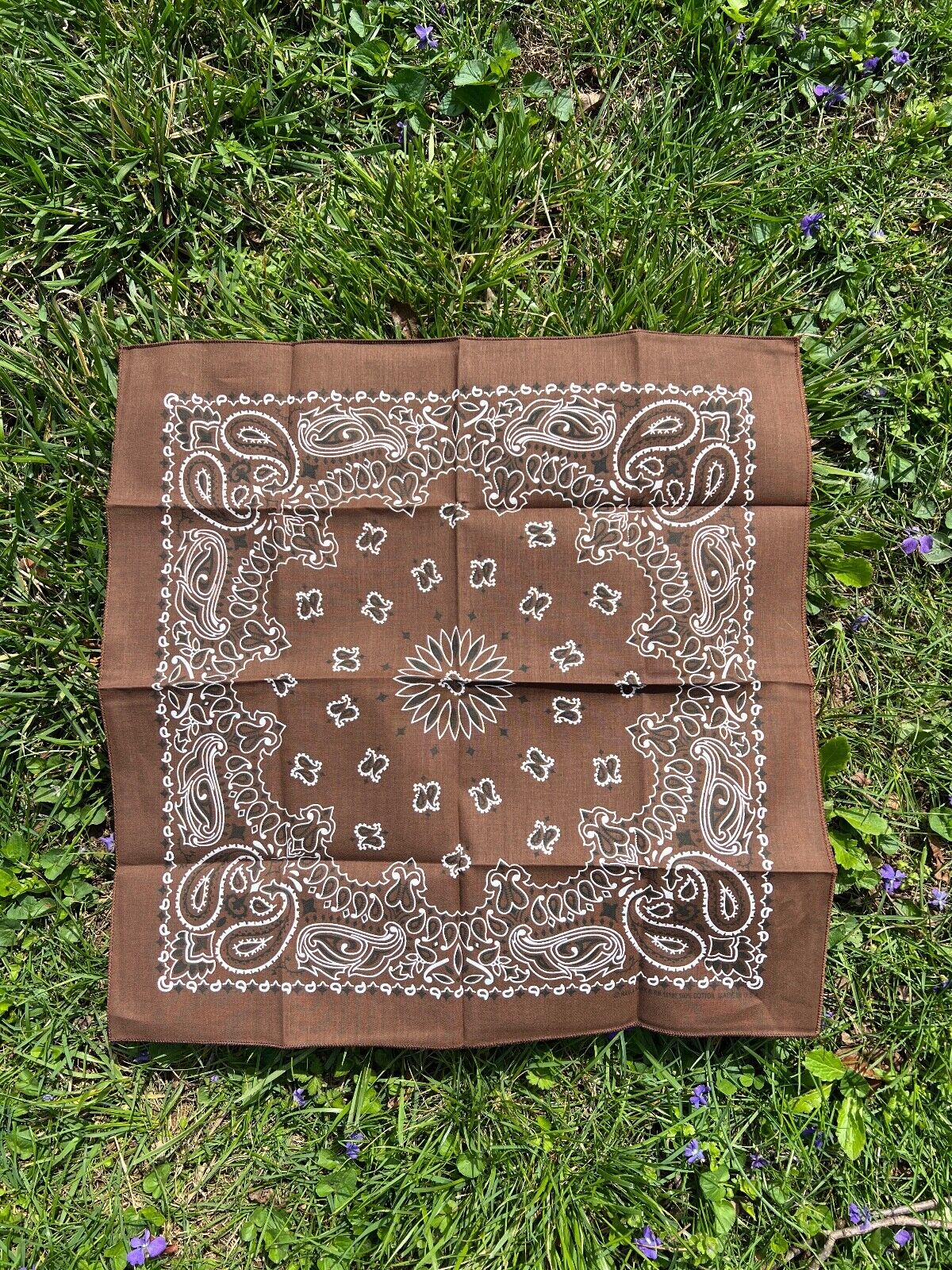 Cocoa Paisley