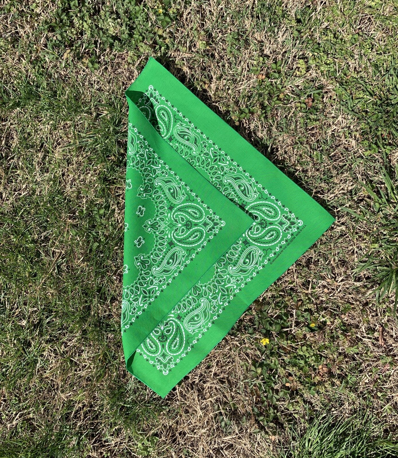 Kelly Paisley