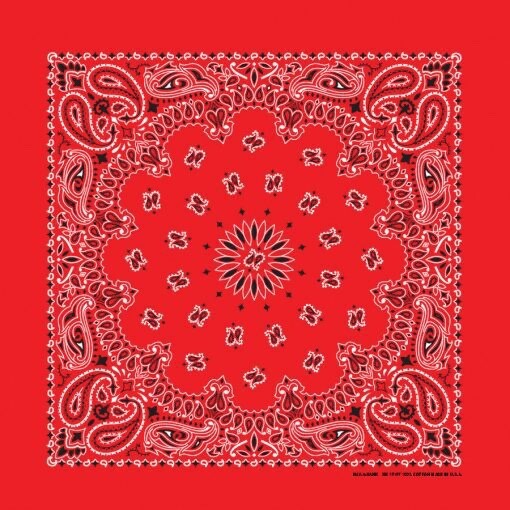 Red Paisley