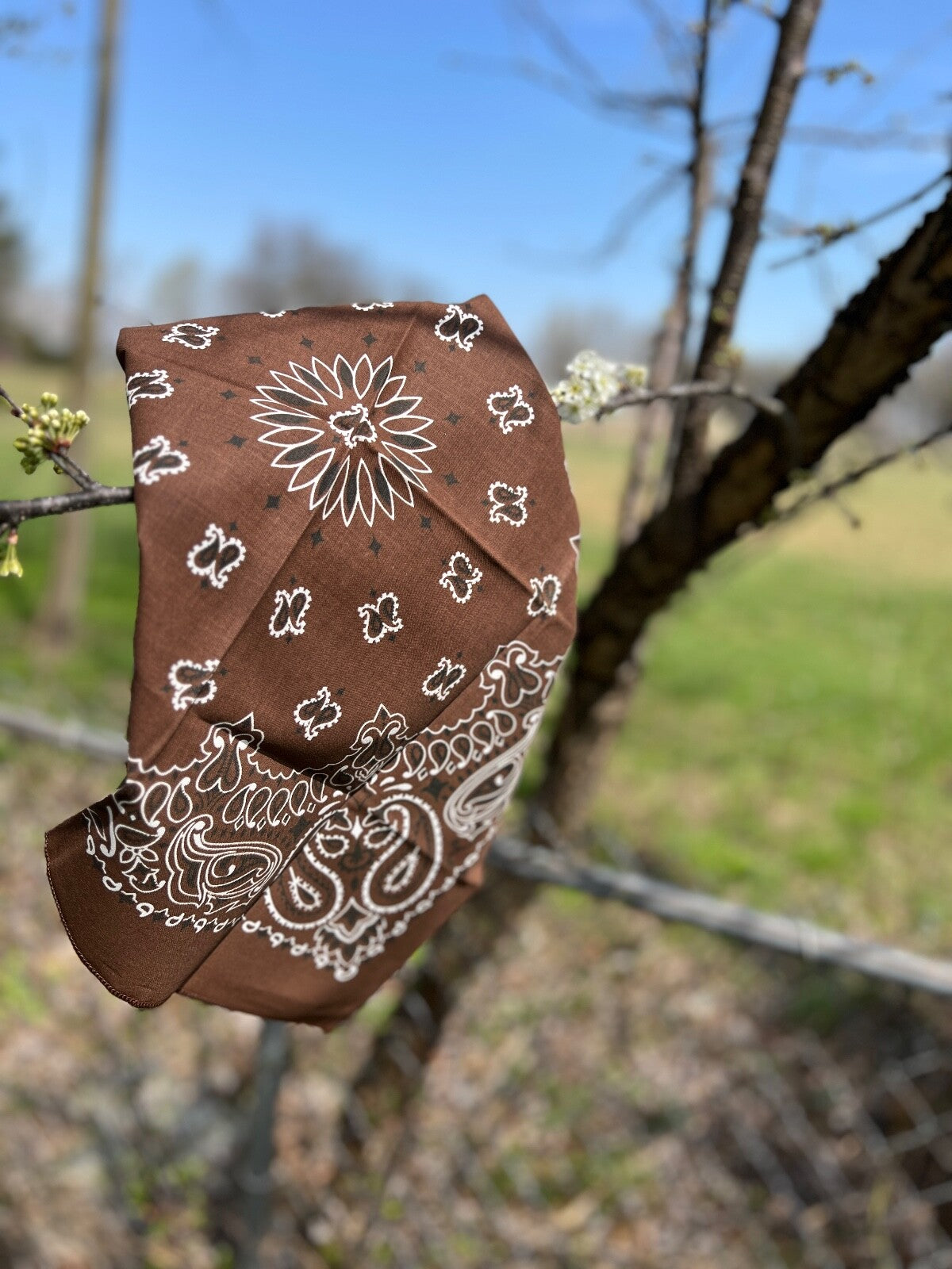Cocoa Paisley