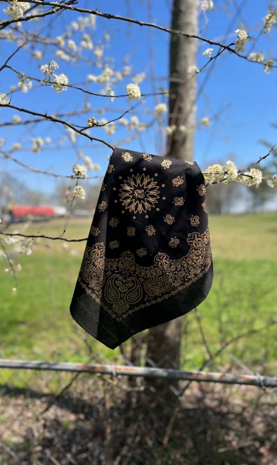 Black Gold Metallic