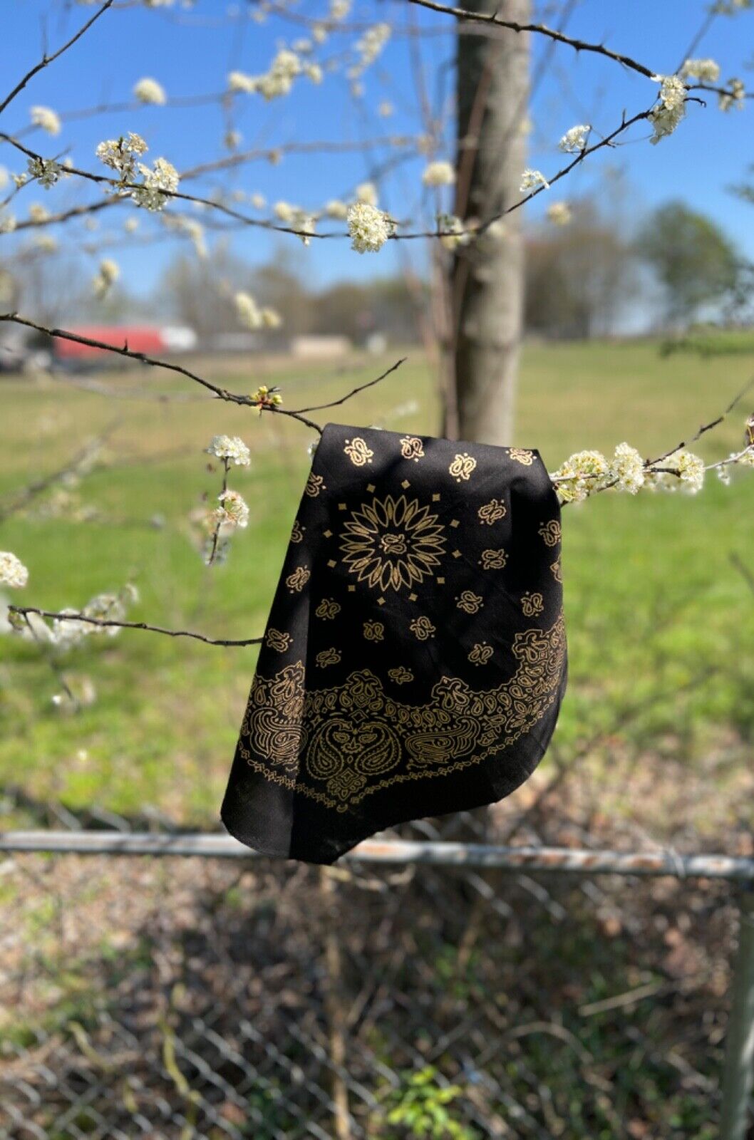 Black Gold Metallic
