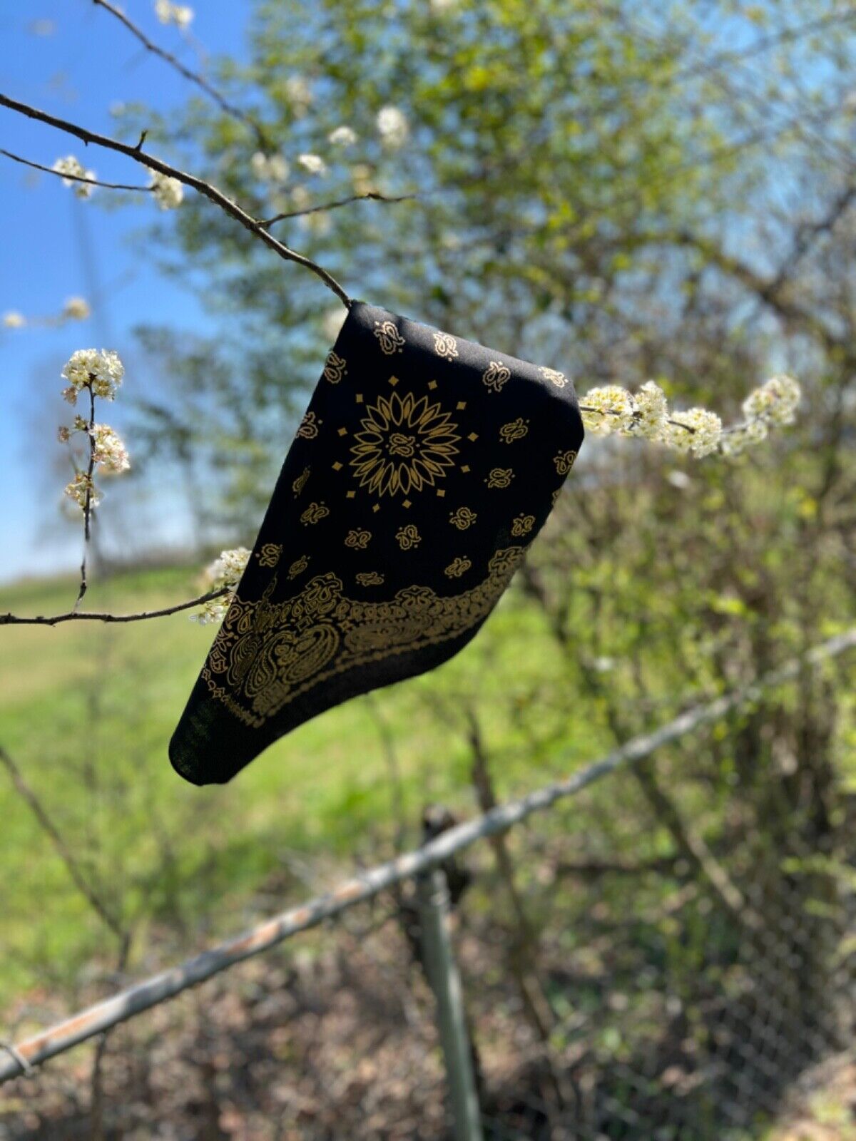 Black Gold Metallic